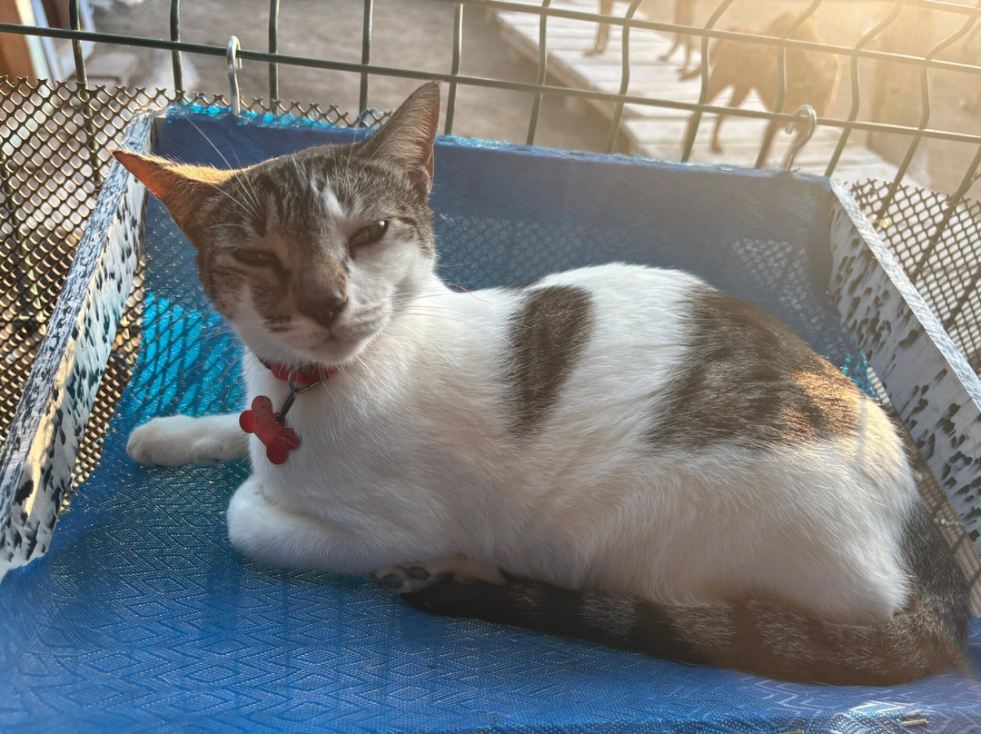 Refugio Holbox-Holbox Island必去景点