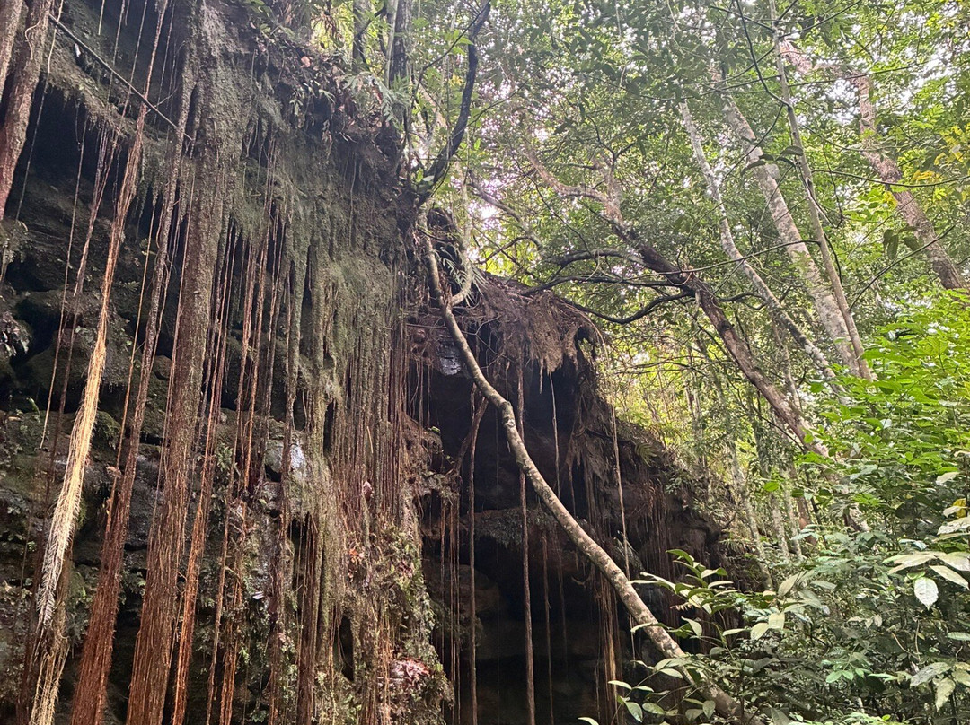 Norte Expedições-Ponte Alta do Tocantins必去景点