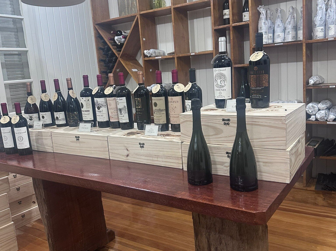 Vinicola Dom Bernardo-本图贡萨尔维斯必去景点