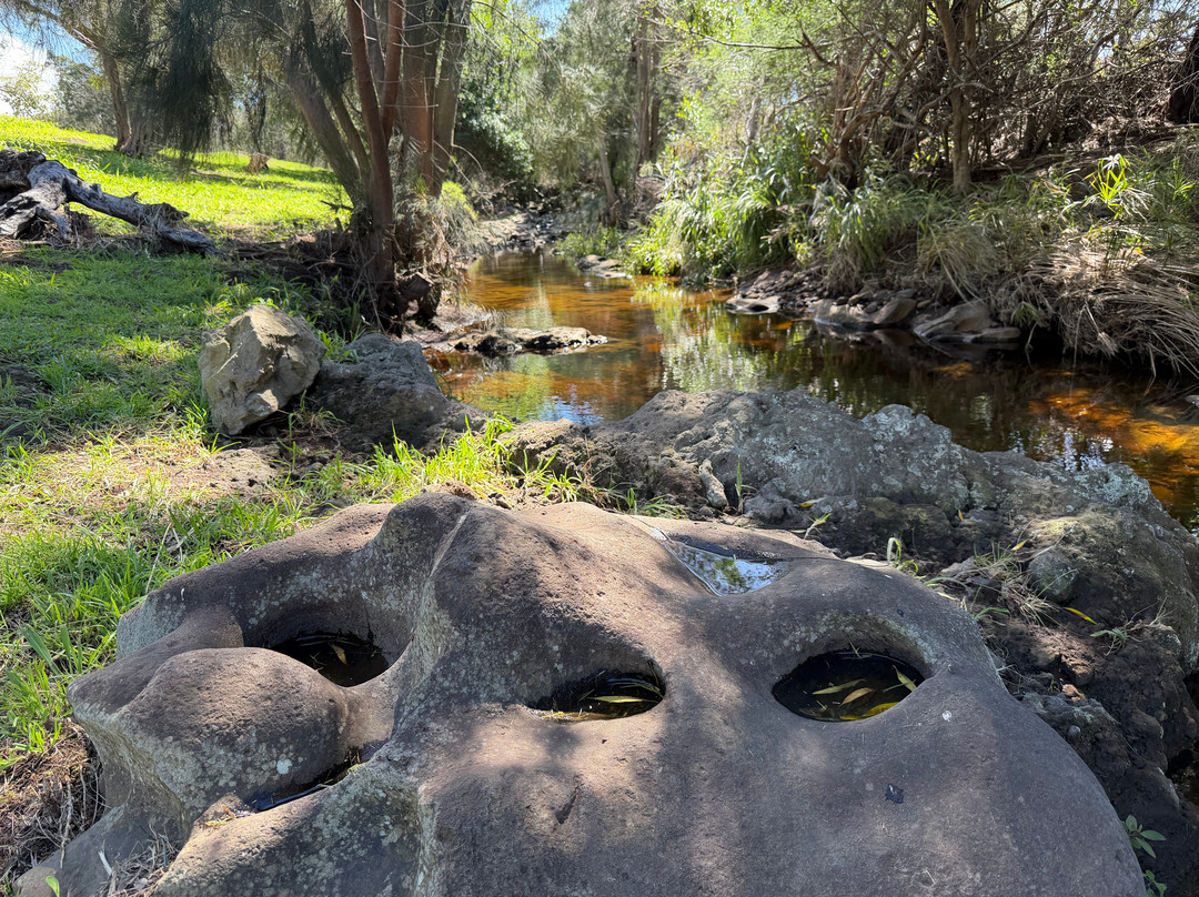 Ulu La'au (waimea Nature Park)-卡慕也拉必去景点