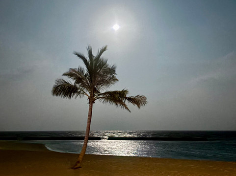 维利甘度岛海滩-维利甘度岛必去景点