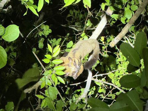 Soul of Madagascar Tours-Toamasina (Tamatave)必去景点