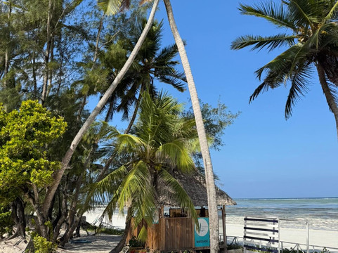 Zan Orient Bwejuu Beach