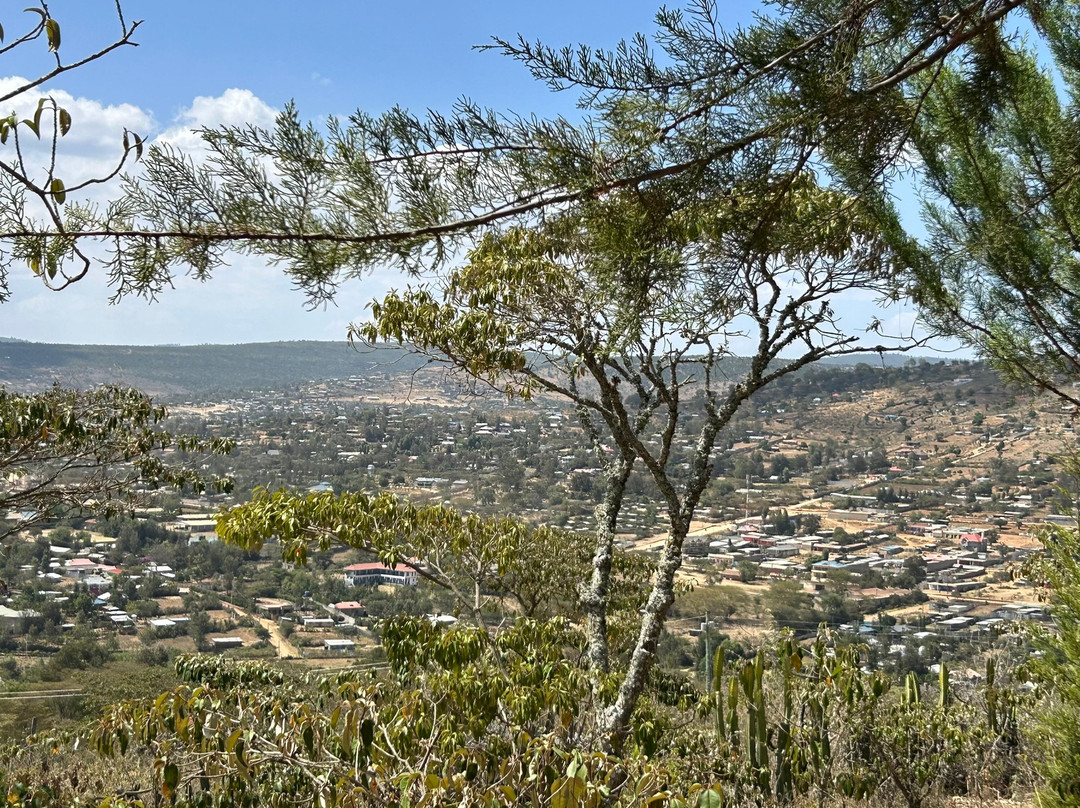 Ngari Hill Ecolodge主图