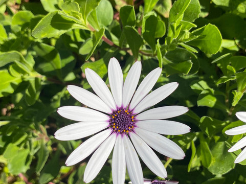 Parque Natural da Ribeira dos Caldeirões-Achada必去景点