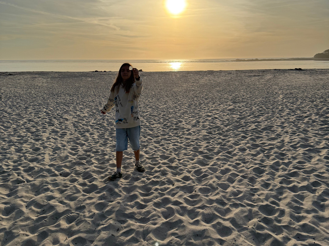 Praia de Moledo-Moledo必去景点