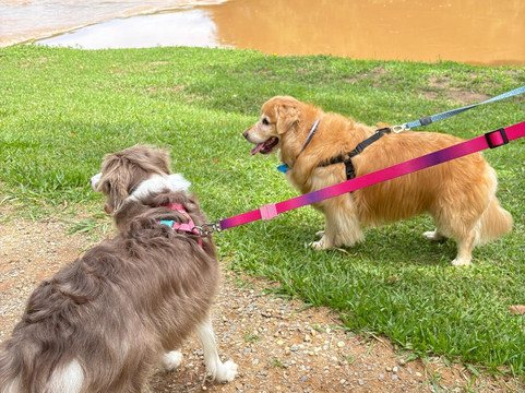 Mundaka Aventura-索科罗必去景点