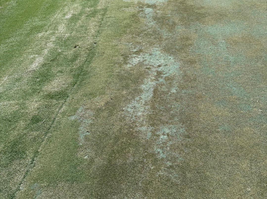 Trump National Doral Golf Course-多拉必去景点