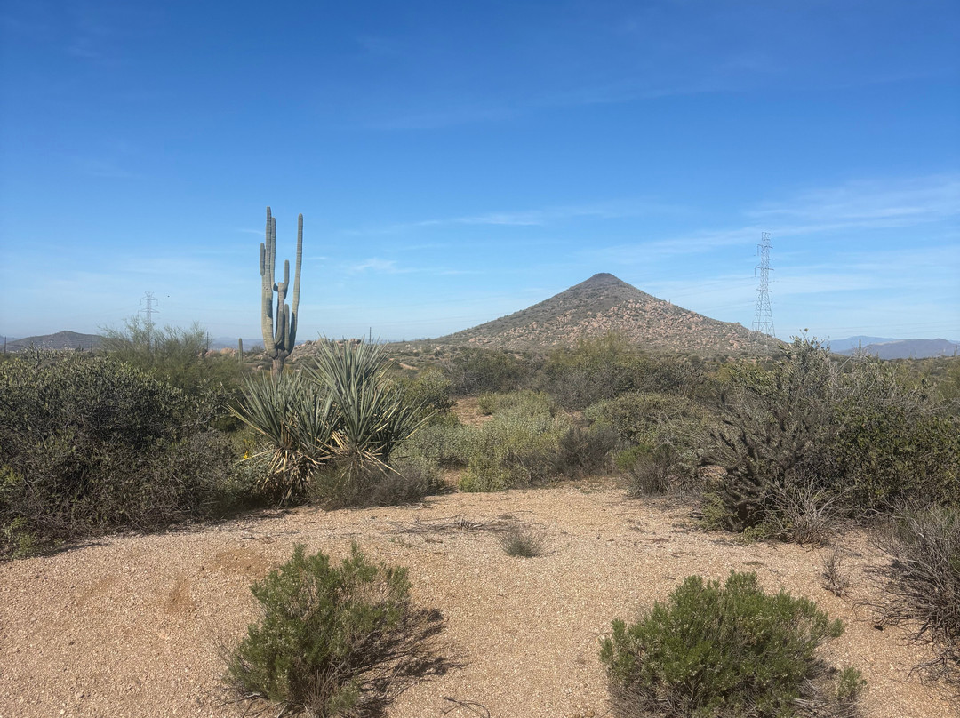 Mad Desert Trekking-凤凰城必去景点