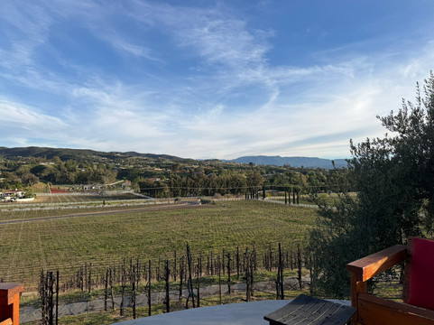 Cougar Vineyard & Winery-特曼库拉必去景点