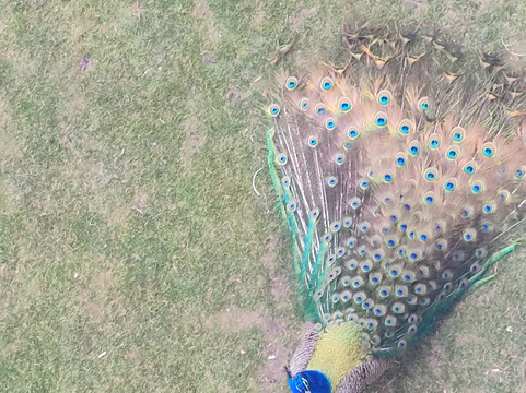 Basaranlar Thermal Spa-Afyonkarahisar必去景点