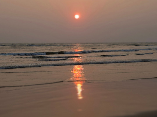 Sri Lankan Personal Drivers-科伦坡必去景点