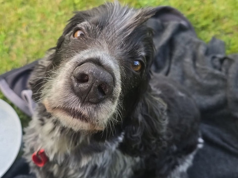 Horseshoe Cafe Bar & Restaurant