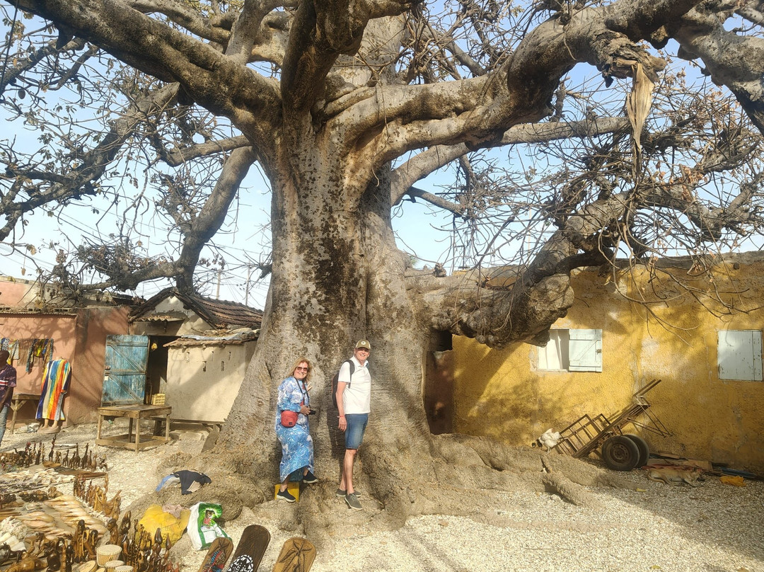 Nouvelles Frontieres-达喀尔必去景点