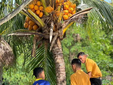 莫希尼度假村主图