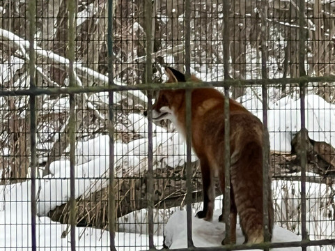Elistvere Animal Park-Tabivere必去景点