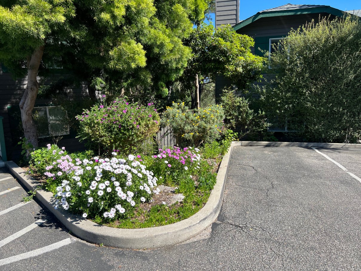 坎布里亚酒店-官方