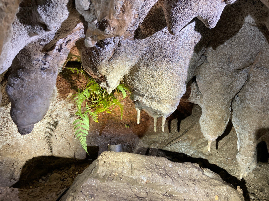 Cascade Caverns-Boerne必去景点