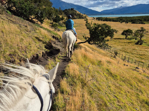 Estancia La Peninsula-纳塔莱斯港必去景点