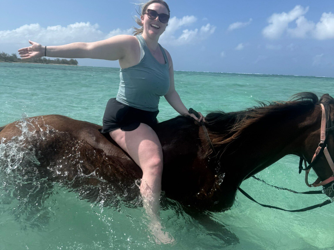 Pampered Ponies, Limited-西湾必去景点