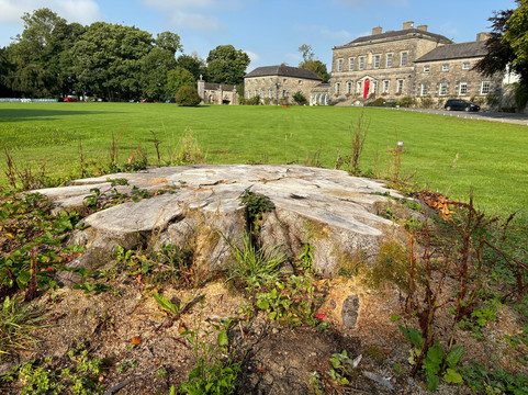 贝尔因特尔之家酒店主图