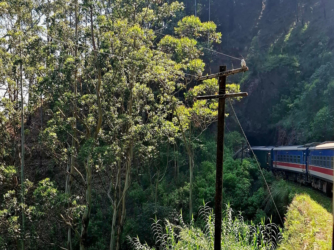 H Tour's Ceylon-Warakapola必去景点