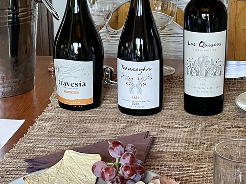 Bodega Wine Tours-圣地亚哥必去景点