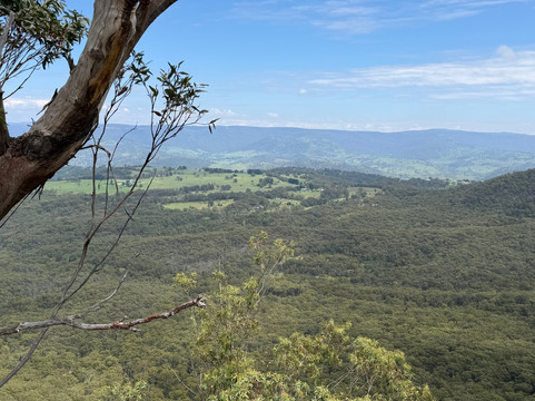 Hargraves Lookout-Megalong Valley必去景点