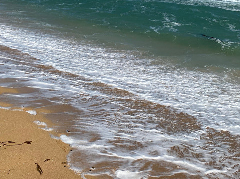 Bowman Scenic Drive-海滩港必去景点