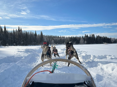 Era-Susi Huskies - Day Tours-Rukatunturi必去景点