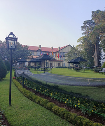 Tea Lounge餐厅图片