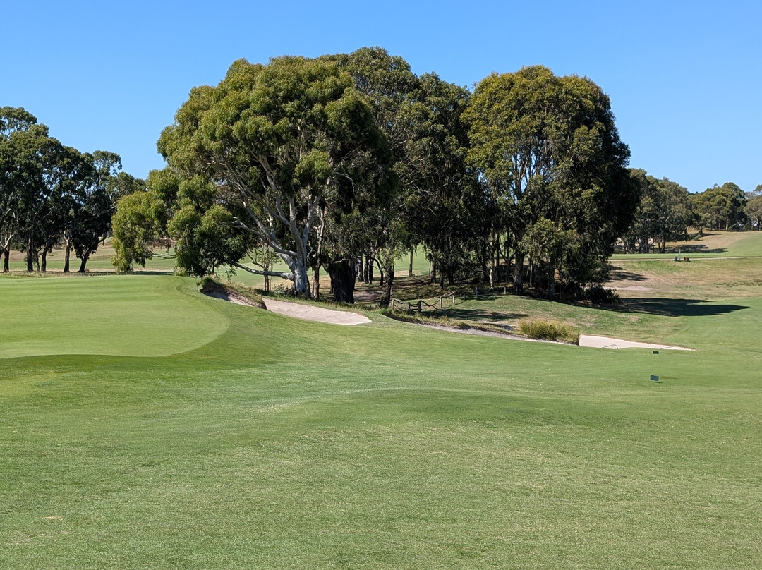 Curlewis的住宿场所主图