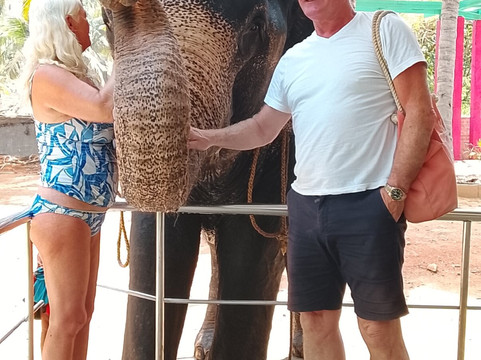 Maharaja Elephants Save Project-凯格勒 必去景点