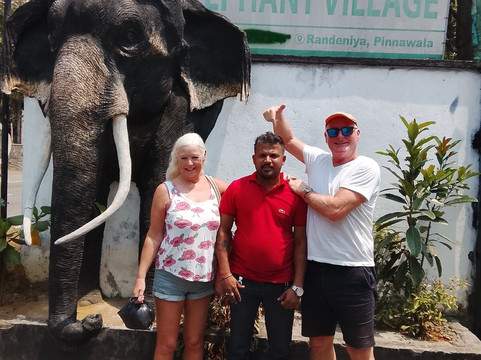 Maharaja Elephants Save Project-凯格勒 必去景点