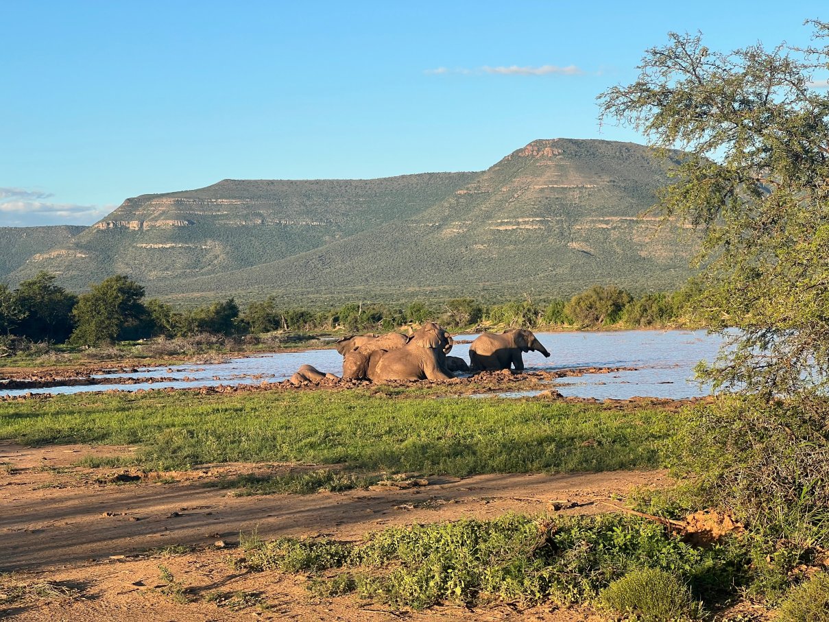 坎迪波山私人野生动物保护区 - 纽马克-官方