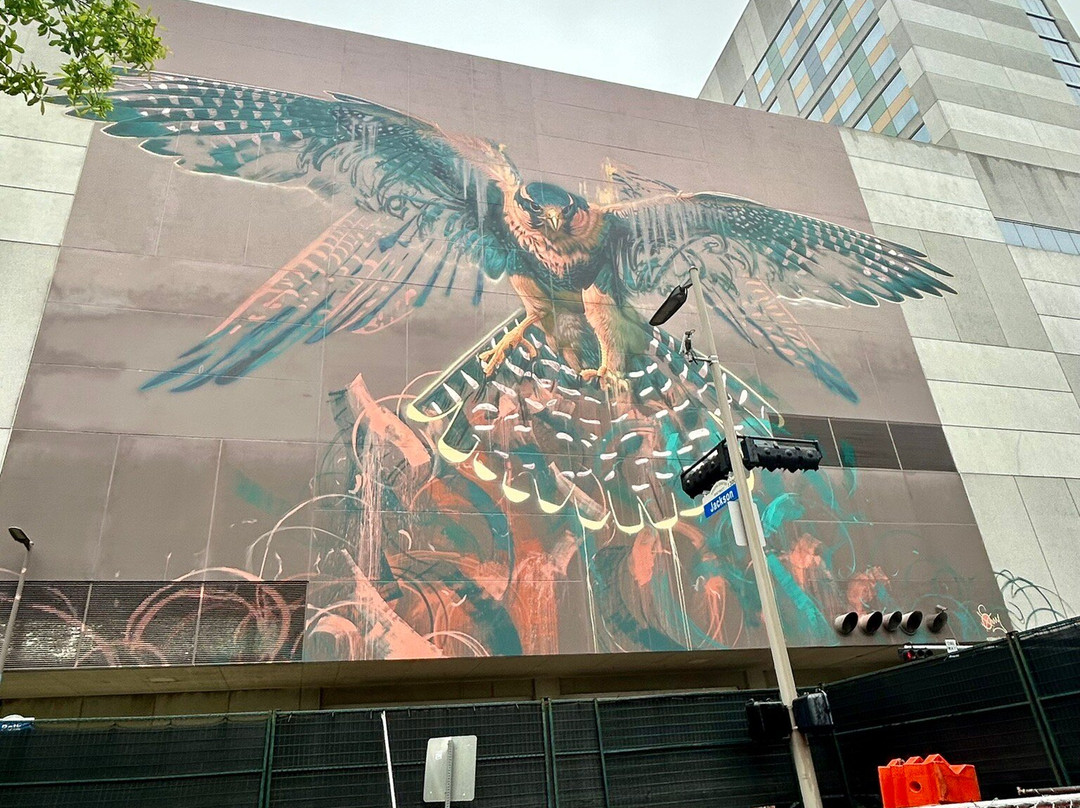 Segway Tours of Houston-休斯顿必去景点