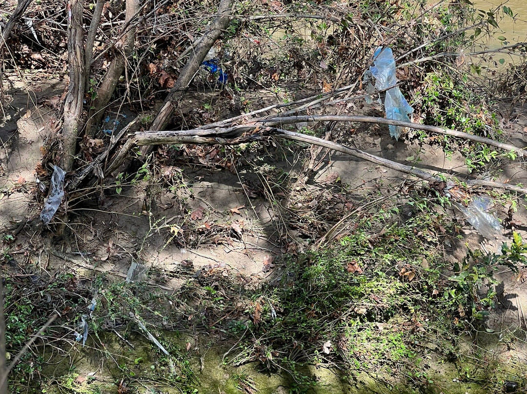 Airfield Falls Trailhead & Conservation Park-沃思堡必去景点