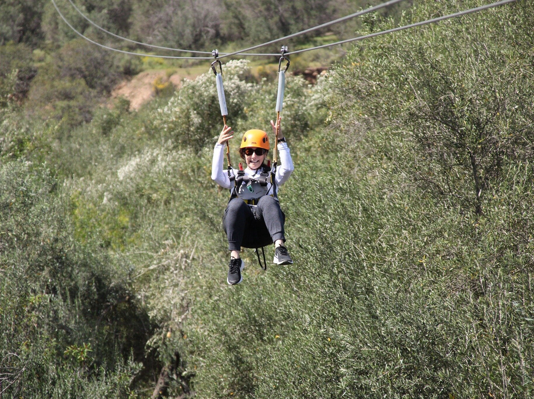 Desert Nest Zip Line-恩塞纳达必去景点