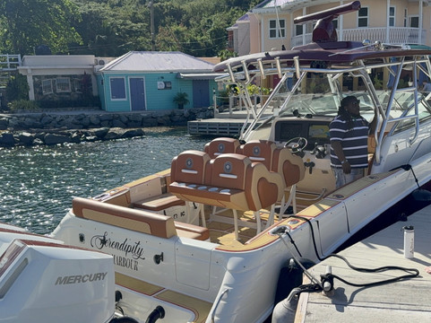 Dolphin Water Taxi-圣 托马斯必去景点