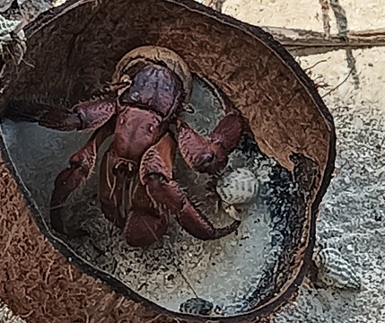 The Vaka Cruise-艾图塔基必去景点