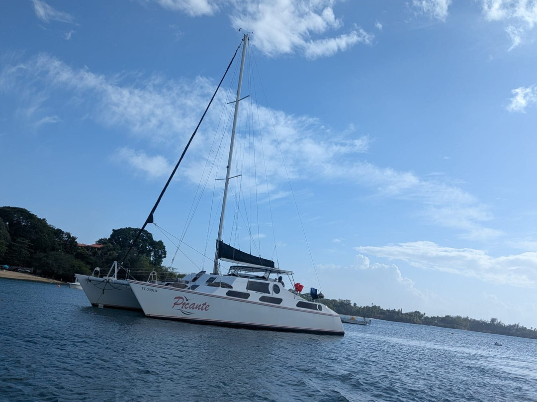 Sailing Catamaran Picante Private Day Tours-克朗波因特必去景点