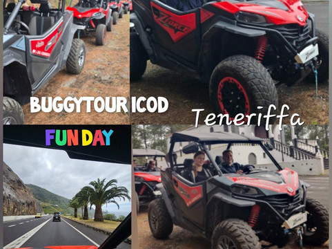 Buggy Tour Icod