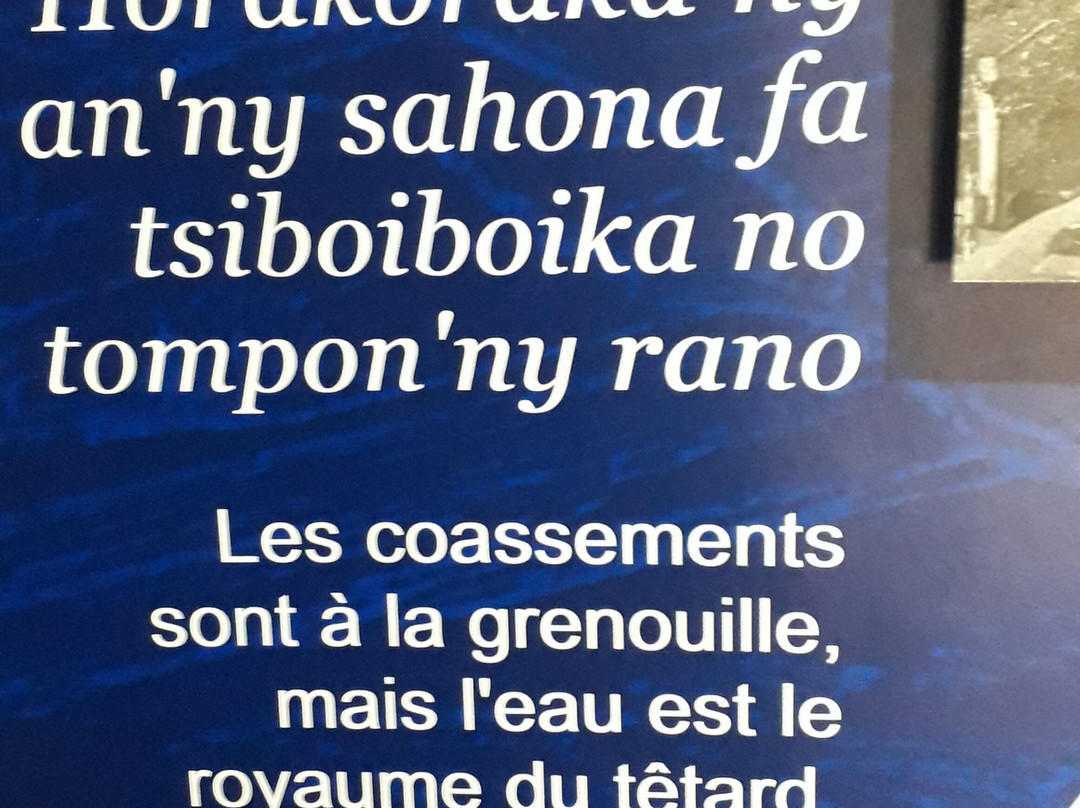 Musee de la Photographie de Madagascar-安塔那那利佛必去景点