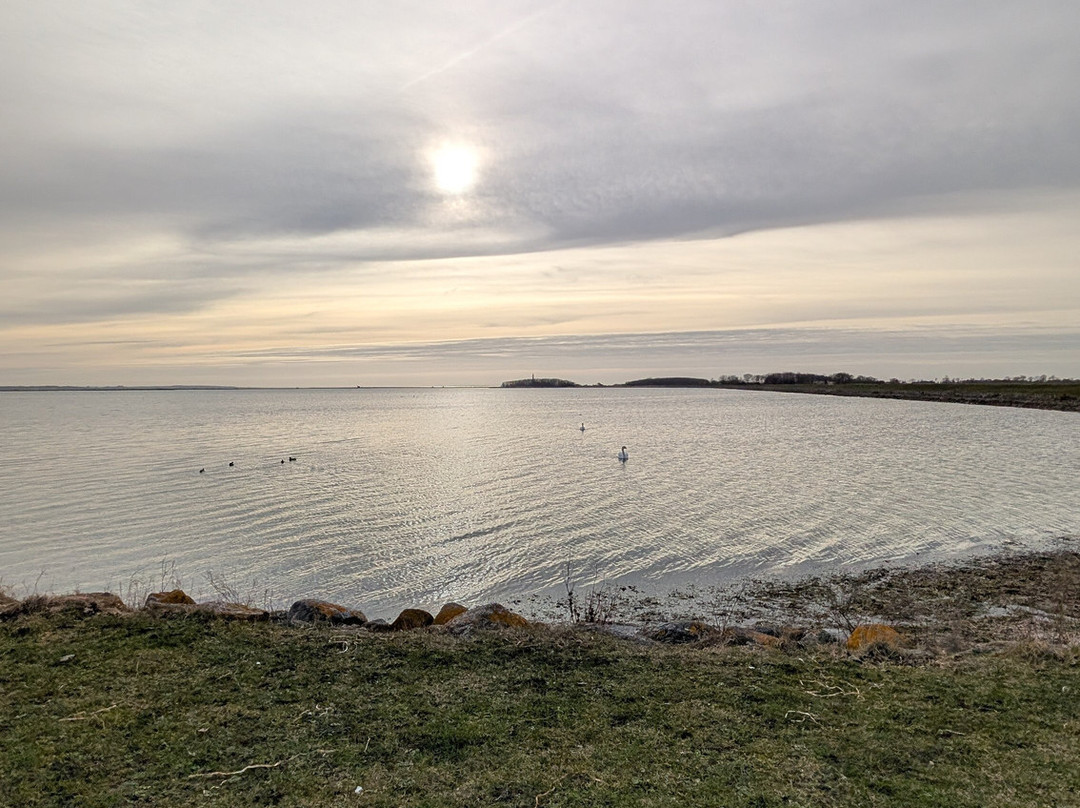 舒岑霍夫哈芬酒店主图