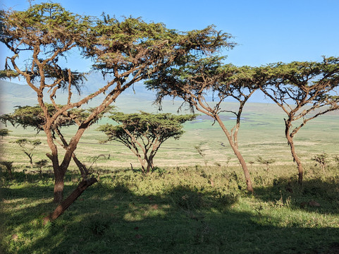 Mamnana Adventures-Olasiti必去景点