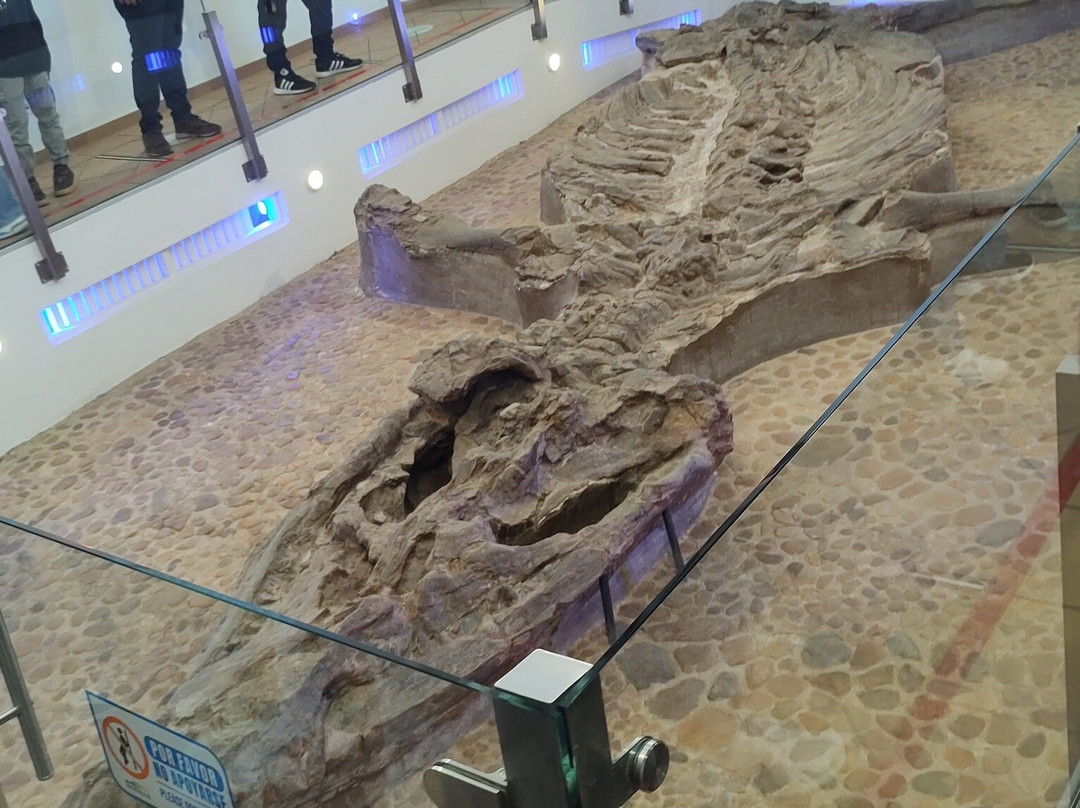 Museo El Fosil-莱瓦镇必去景点