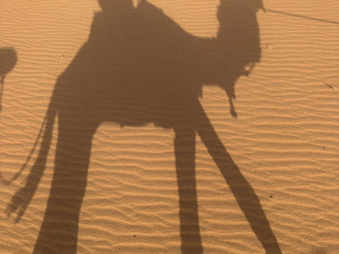 Desert Maroc Tours - Day Tours-扎古拉必去景点