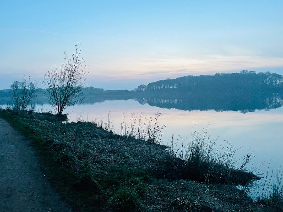 Talkin Tarn Park-卡莱尔必去景点