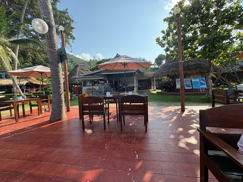 棕榈叶度假村主图