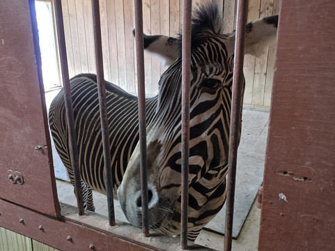 The Wilds-Cumberland必去景点